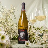 LURETTA Italian Wines – Discover Traditional and New Expressions