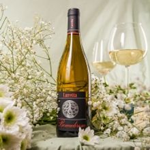 LURETTA Italian Wines – Discover Traditional and New Expressions