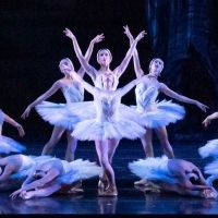 BWW Review: SWAN LAKE at KC Ballet