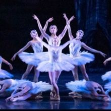 BWW Review: SWAN LAKE at KC Ballet