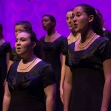 Palm Beach Symphony Presents A Family Concert On October 24