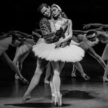 Jessica Xuan Makes Debut As Principal Guest Artist In SWAN LAKE