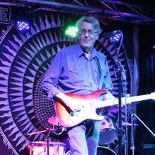 Bees Deluxe to Return to the Shrine World Music Venue in Harlem