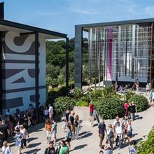 Student Blog: Much to Do, Much More to Learn