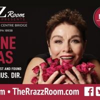Christine Andreas Will Play AND SO IT GOES ... LIFE & LOVE, LOST & FOUND at New Hope's The RRazz Room May 7th