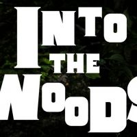 Passion Projects Theatre Company Presents INTO THE WOODS