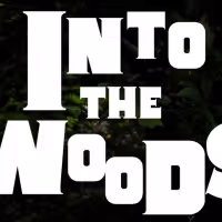 Passion Projects Theatre Company Presents INTO THE WOODS