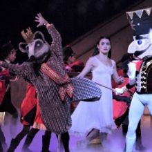 Ballet Palm Beach Announces Special Pre-Season Pricing for 2021-2022 Season