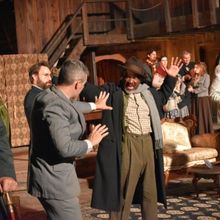 Interview: Ellen Geer on STRIFE at Theatricum Botanicum