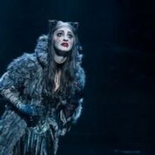 BWW Review: CATS at Citizens Bank Opera House