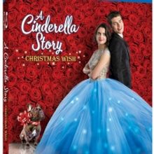 A CINDERELLA STORY: CHRISTMAS WISH Will be Released on Digital and Blu-ray This…