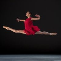 BWW Review: BALLET FESTIVAL Dazzles at The Joyce
