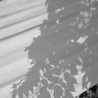 RISD 2020 MFA Photography Show Opens Thursday At ClampArt