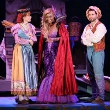 BWW Review: Broadway Vets Shine in Delightful, Star-Studded INTO THE WOODS at the Hol
