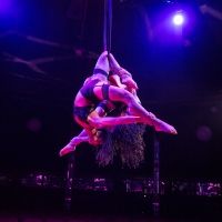 BWW Review: LA CLIQUE, Leicester Square Spiegeltent