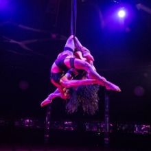 BWW Review: LA CLIQUE, Leicester Square Spiegeltent