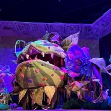 BWW Review: LITTLE SHOP OF HORRORS at University Of Central Arkansas Theatre