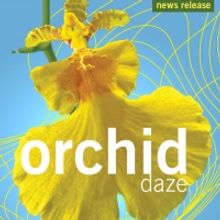 ORCHID DAZE Features Joyful Metal Sculptures Of Artist Kristine Mays