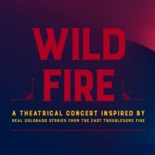DCPA Theatre Company Announces Full Cast and Creative Team for World Premiere of WILD