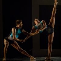 Convexus Ballet Contemporáneo Presenta The Architectural Body Y Locomotion
