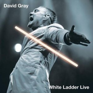 David Gray Celebrates His Landmark 'White Ladder: 20th Anniversary' Tour With the…
