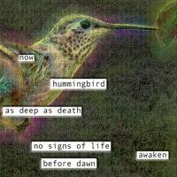 BWW Review: HUMMINGBIRD at Teatro Paraguas
