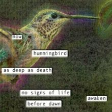 BWW Review: HUMMINGBIRD at Teatro Paraguas