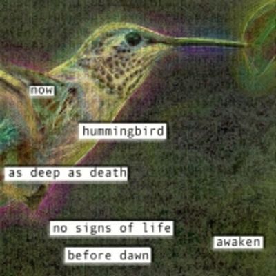 BWW Review: HUMMINGBIRD at Teatro Paraguas