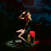 BWW Review: RENDEZVOUS WITH MARLENE, St. George's, Bristol