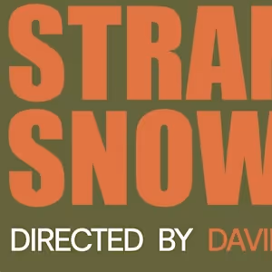 David Newer Will Direct Stephen Metcalfe's STRANGE SNOW at Ivy Crest Theatre Co.