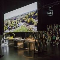 MAYFEST 2020 Has Announced Programming
