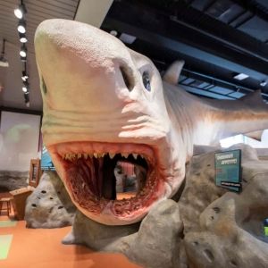 August Brings Blockbusters, Dinosaurs, and Gabby’s Dollhouse to The Museum Of Discovery and Science