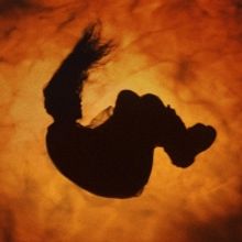 Lubalin Returns with New Single 'dougie jones'