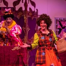 FOUR DAMES IN SEARCH OF A PANTO Opens at Theatre Royal Winchester