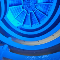 Works & Process at The Guggenheim Announces Live Performance ROSE: YOU ARE WHO YOU…