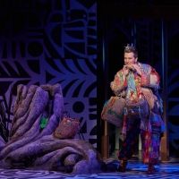BWW Review: THE MAGIC FLUTE at Opera Theatre Of Saint Louis Interview