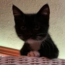 Student Blog: Take a Break