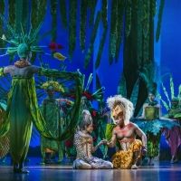 BWW Review: THE LION KING, Edinburgh Playhouse