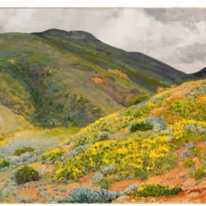 UC Irvine Jack & Shanaz Langson Institute And Museum Of California Art Reveal Spring…