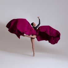 ASO And Ballet Theatre Of Maryland Partner To Perform School And Family Concerts At M