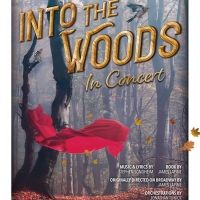 ACT Of Connecticut Announces INTO THE WOODS - IN CONCERT