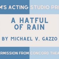 BWW Review: HATFUL OF RAIN at Barnum's Acting Studio