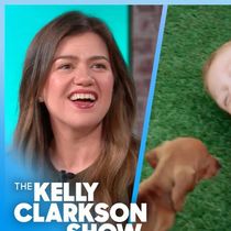 KELLY CLARKSON SHOW Revisits Neighborhood That Learned ASL for Deaf Child