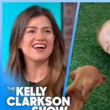 KELLY CLARKSON SHOW Revisits Neighborhood That Learned ASL for Deaf Child