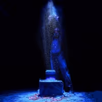 THE INDIGO ROOM To Play La MaMa ETC As Part Of The Under The Radar Festival, January…