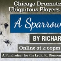 Chicago Dramatists Announces Online Reading Of A SPARROW FALLS By Richard Gustin