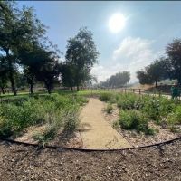 Parks Foundation To Plant "LA Park Forest" At Hollenbeck Park As Part Of City-Wide…