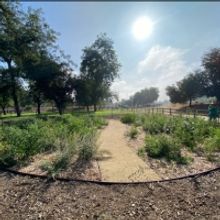 Parks Foundation To Plant "LA Park Forest" At Hollenbeck Park As Part Of City-Wide E
