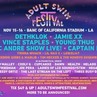 ADULT SWIM FESTIVAL Announces More Acts and Fan Experiences