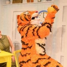 Book Now For Purrfect Summer Treat THE TIGER WHO CAME TO TEA